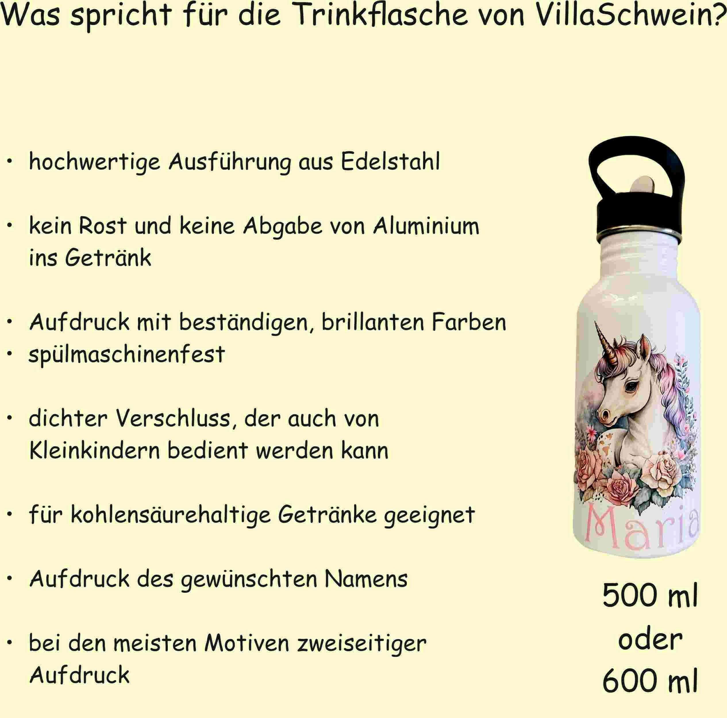 Edelstahl-Trinkflasche Hai.