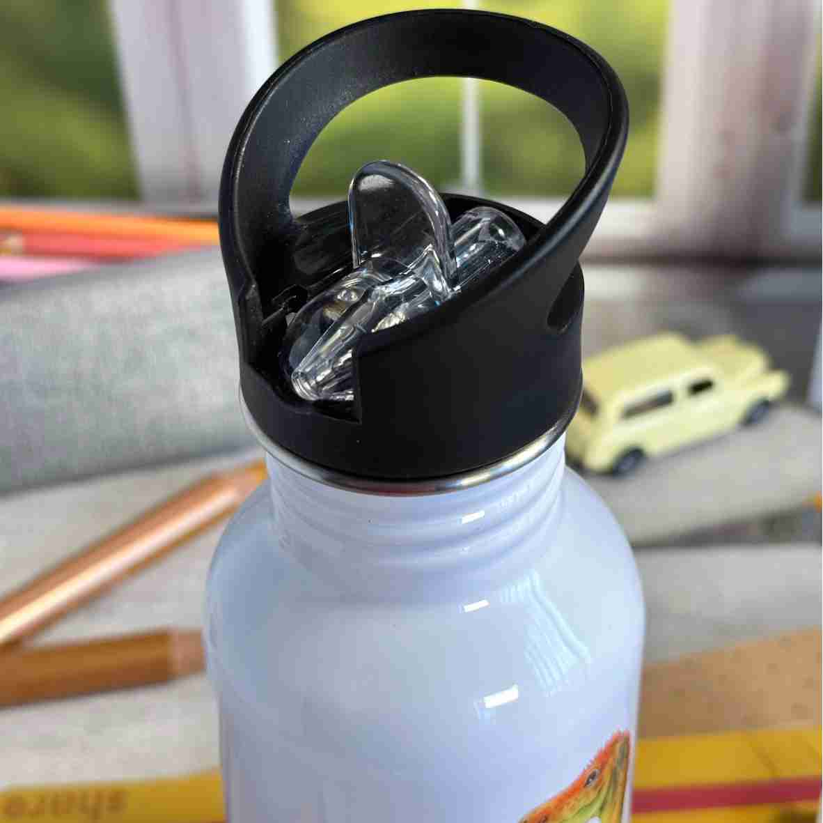 Trinkflasche Edelstahl Dinosaurier – Leon